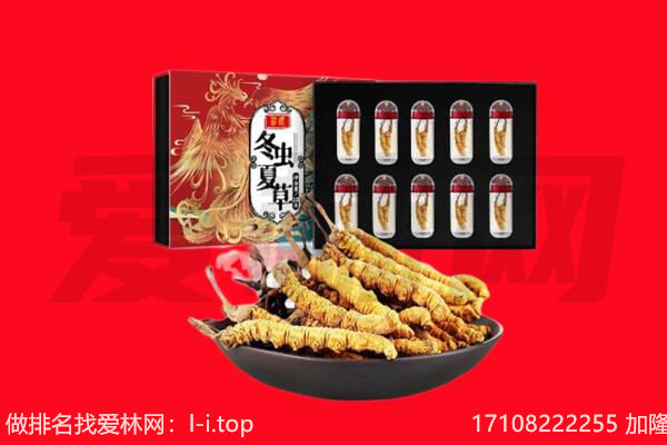 包头市九原回收虫草.jpg